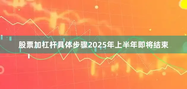 股票加杠杆具体步骤2025年上半年即将结束