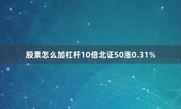 股票怎么加杠杆10倍北证50涨0.31%