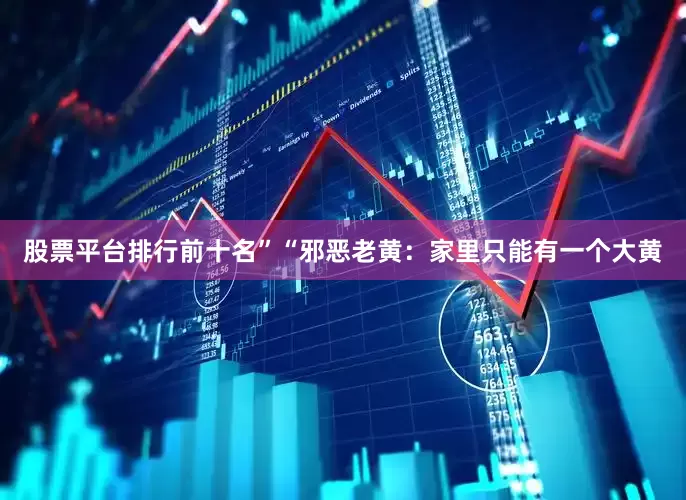 股票平台排行前十名”“邪恶老黄：家里只能有一个大黄