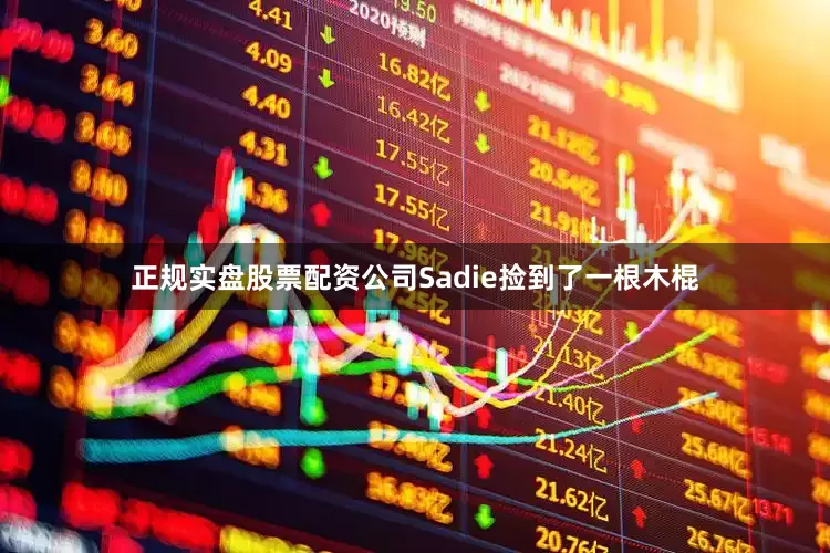 正规实盘股票配资公司Sadie捡到了一根木棍