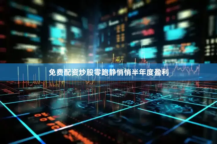 免费配资炒股零跑静悄悄半年度盈利